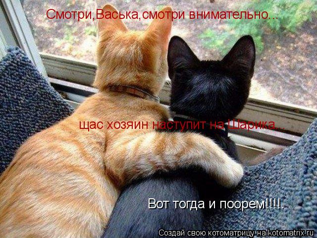 Смотри,Васька,смотри внимательно... щас хозяин наступит на Шарика... Вот тогда и поорем!!!!.... Котоматрица: Смотри,Васька,смотри внимательно... щас хозяин наступит на Шарика... Вот тогда и поорем!!!!.