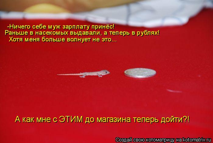 Раньше в насекомых выдавали, а теперь в рублях! -Ничего себе муж зарплату принёс! А как мне с ЭТИМ до... Котоматрица: Раньше в насекомых выдавали, а теперь в рублях! -Ничего себе муж зарплату принёс! А как мне с ЭТИМ до магазина теперь дойти?! Хотя меня больше