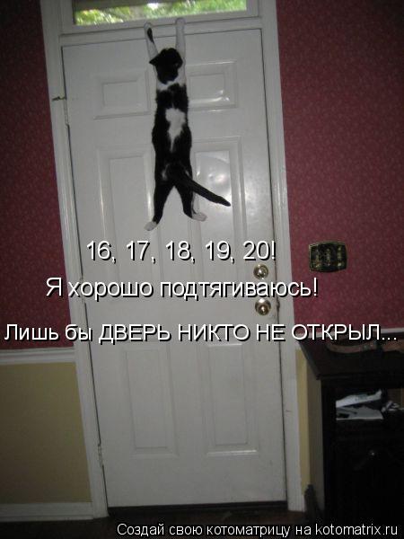 16, 17, 18, 19, 20! Я хорошо подтягиваюсь! Лишь бы ДВЕРЬ НИКТО НЕ ОТКРЫЛ...... Котоматрица: 16, 17, 18, 19, 20! Я хорошо подтягиваюсь! Лишь бы ДВЕРЬ НИКТО НЕ ОТКРЫЛ...