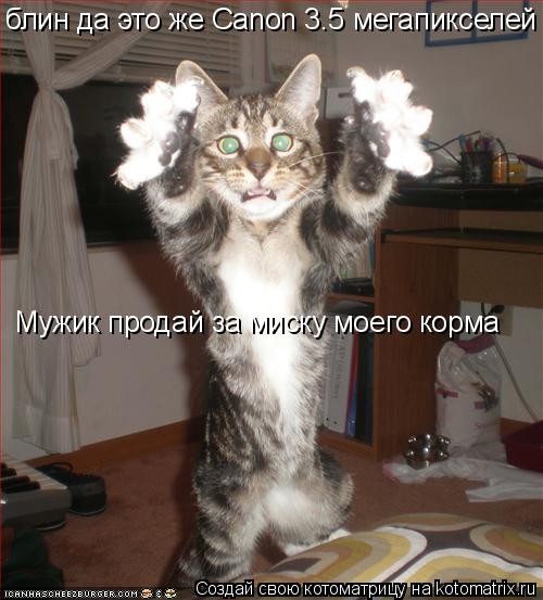 блин да это же Canon 3.5 мегапикселей Мужик продай за миску моего корма... Котоматрица: блин да это же Canon 3.5 мегапикселей Мужик продай за миску моего корма