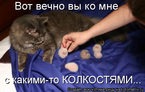Котоматрица: Вот вечно вы ко мне  с какими-то КОЛКОСТЯМИ...