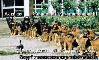 Ах какая __ Женщина!!! Какаааааяяяя...!!! А я виляю попой туда,сюда..туда сюда...... Котоматрица: Ах какая __ Женщина!!! Какаааааяяяя...!!! А я виляю попой туда,сюда..туда сюда...