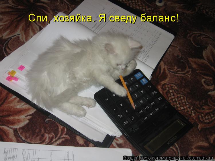 Спи, хозяйка. Я сведу баланс!... Котоматрица: Спи, хозяйка. Я сведу баланс!