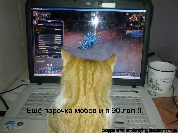 Ещё парочка мобов и я 90 лвл!!!... Котоматрица: Ещё парочка мобов и я 90 лвл!!!