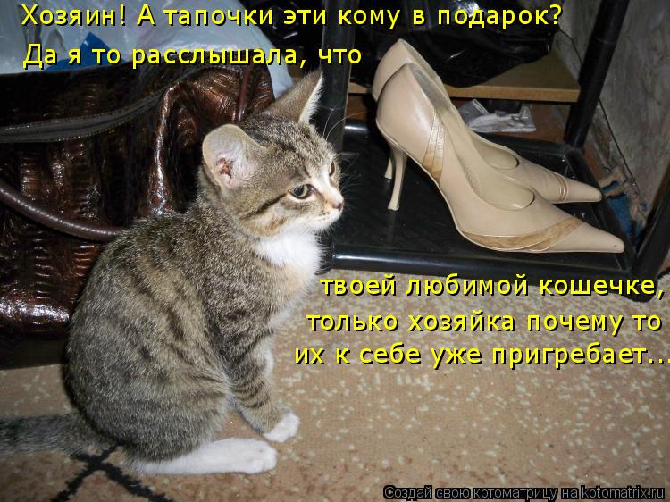 Котоматрица: только хозяйка почему то  их к себе уже пригребает... твоей любимой кошечке, Да я то расслышала, что Хозяин! А тапочки эти кому в подарок?