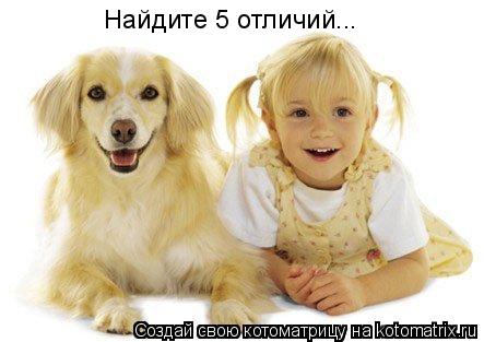 Котоматрица: Найдите 5 отличий...