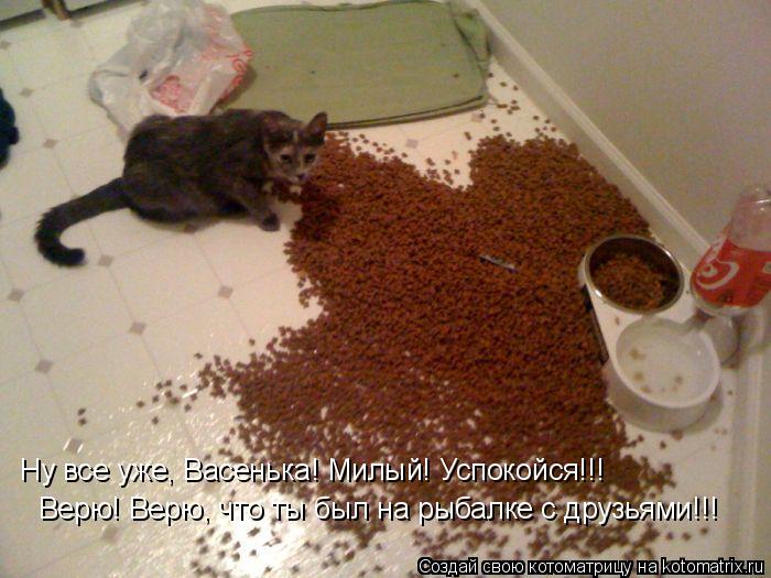 Котоматрица: Ну все уже, Васенька! Милый! Успокойся!!! Верю! Верю, что ты был на рыбалке с друзьями!!!