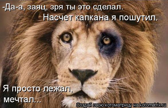 -Да-а, заяц, зря ты это сделал. Насчет капкана я пошутил. Я просто лежал, мечтал...... Котоматрица: -Да-а, заяц, зря ты это сделал. Насчет капкана я пошутил. Я просто лежал, мечтал...