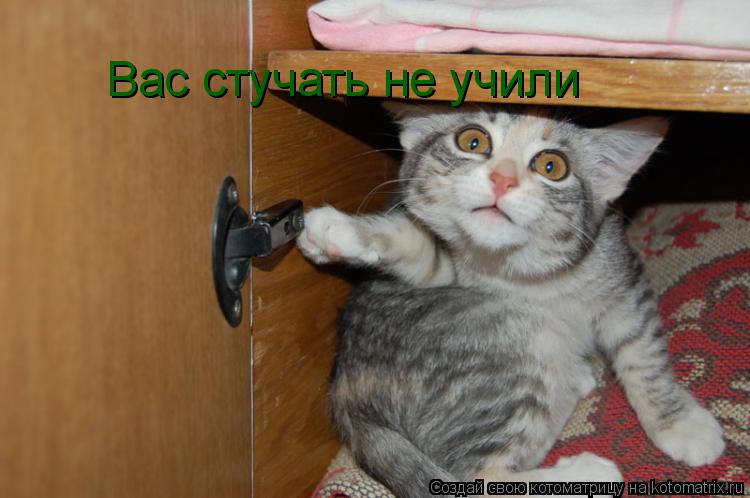 Вас стучать не учили... Котоматрица: Вас стучать не учили