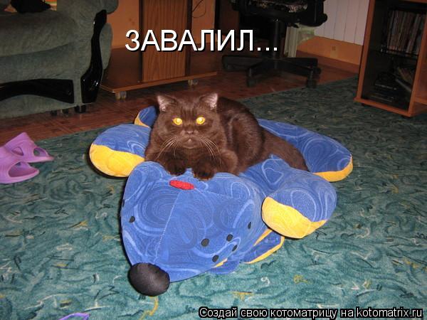 ЗАВАЛИЛ...... Котоматрица: ЗАВАЛИЛ...