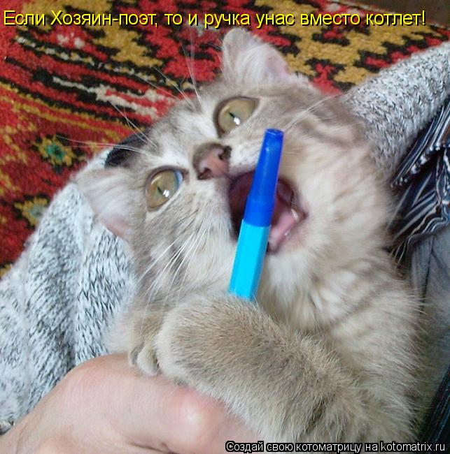 Котоматрица: Если Хозяин-поэт, то и ручка унас вместо котлет!