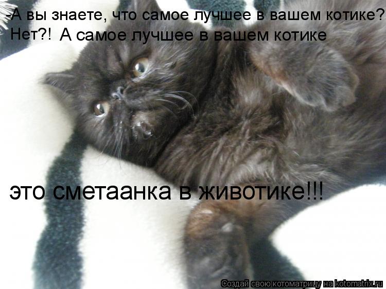 -А вы знаете, что самое лучшее в вашем котике? Нет?! А самое лучшее в вашем котике это сметаанка в жи... Котоматрица: -А вы знаете, что самое лучшее в вашем котике? Нет?! А самое лучшее в вашем котике это сметаанка в животике!!!