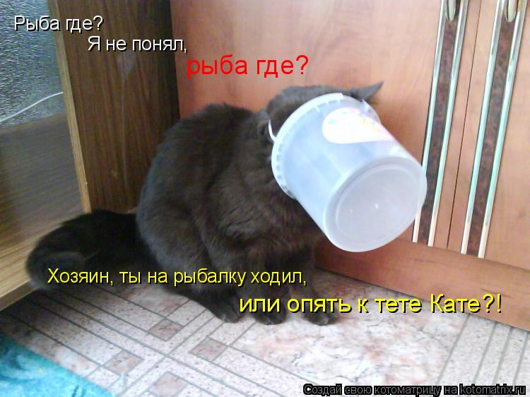 Котоматрица: Рыба где? Я не понял, рыба где? Хозяин, ты на рыбалку ходил, или опять к тете Кате?!