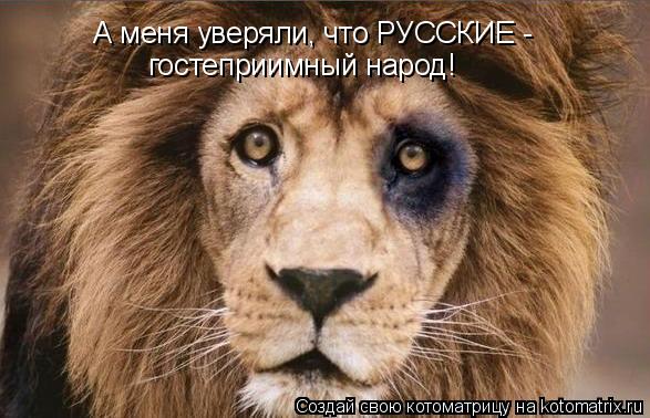 Котоматрица: А меня уверяли, что РУССКИЕ -  гостеприимный народ!
