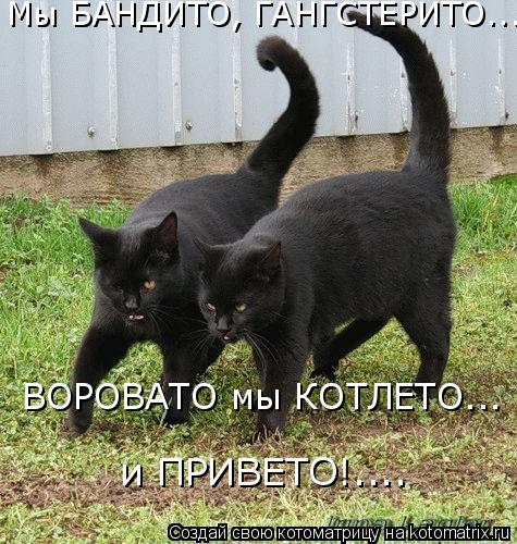 Мы БАНДИТО, ГАНГСТЕРИТО... ВОРОВАТО мы КОТЛЕТО... и ПРИВЕТО!....... Котоматрица: Мы БАНДИТО, ГАНГСТЕРИТО... ВОРОВАТО мы КОТЛЕТО... и ПРИВЕТО!....