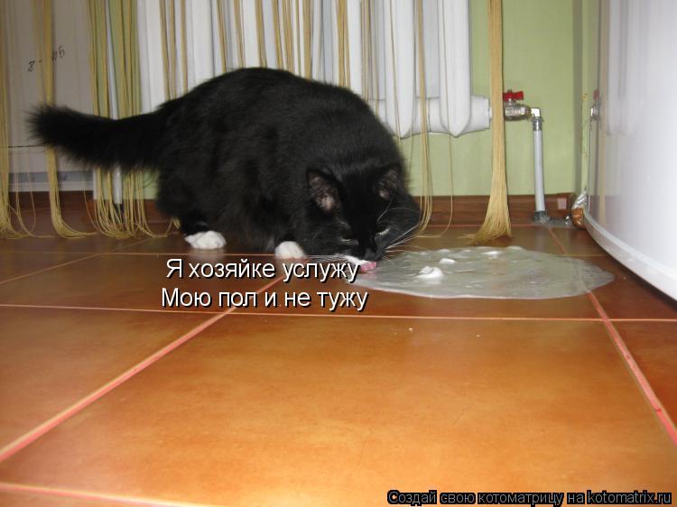 Я хозяйке услужу Мою пол и не тужу... Котоматрица: Я хозяйке услужу Мою пол и не тужу
