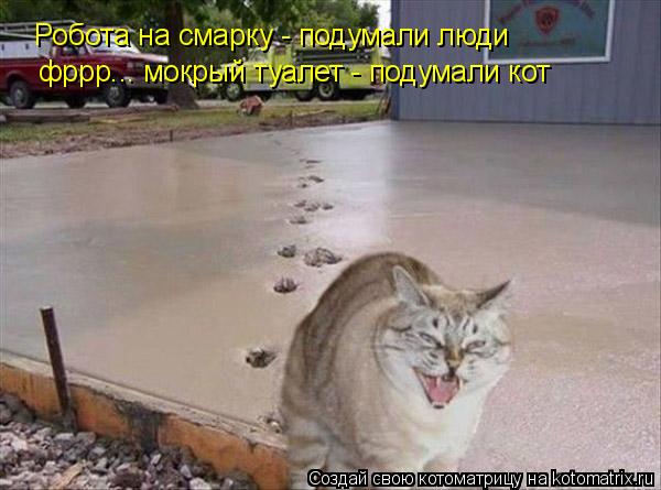 Робота на смарку - подумали люди фррр... мокрый туалет - подумали кот... Котоматрица: Робота на смарку - подумали люди фррр... мокрый туалет - подумали кот