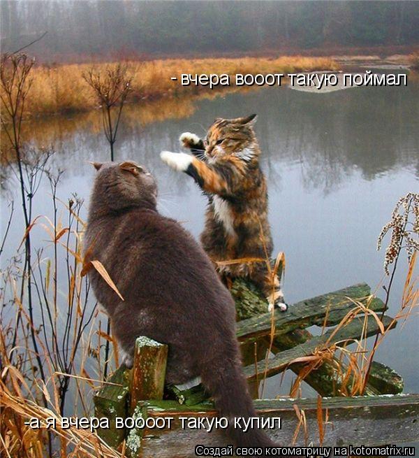вчера вооот такую поймал -а я вчера воооот такую купил -... Котоматрица: вчера вооот такую поймал -а я вчера воооот такую купил -