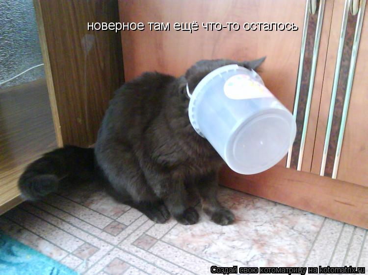 новерное там ещё что-то осталось... Котоматрица: новерное там ещё что-то осталось