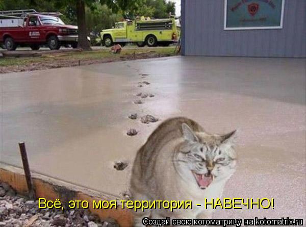 Всё, это моя территория - НАВЕЧНО!... Котоматрица: Всё, это моя территория - НАВЕЧНО!