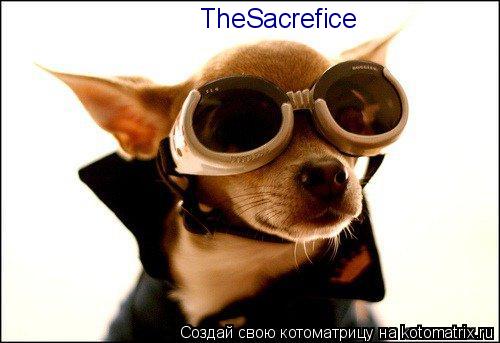 TheSacrefice... Котоматрица: TheSacrefice