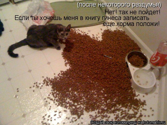 (после некоторого раздумья) Нет! так не пойдет! Если ты хочешь меня в книгу гинеса записать еще корма... Котоматрица: (после некоторого раздумья) Нет! так не пойдет! Если ты хочешь меня в книгу гинеса записать еще корма положи!