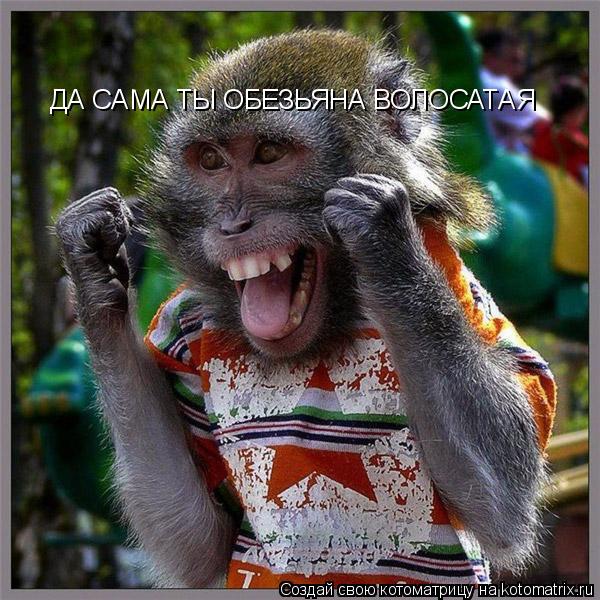 ДА САМА ТЫ ОБЕЗЬЯНА ВОЛОСАТАЯ... Котоматрица: ДА САМА ТЫ ОБЕЗЬЯНА ВОЛОСАТАЯ