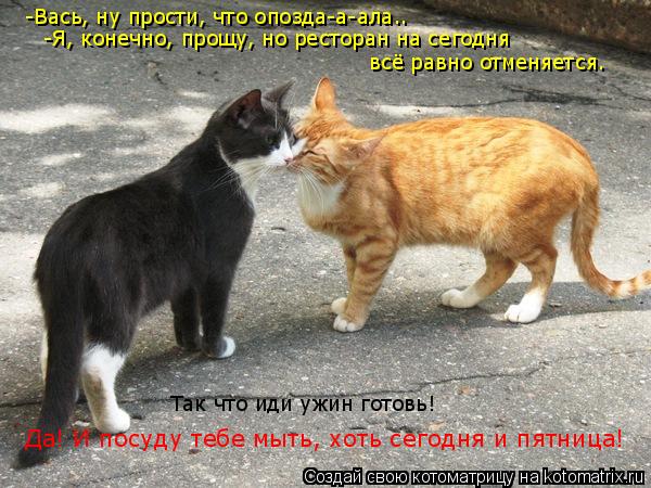 -Вась, ну прости, что опозда-а-ала.. -Я, конечно, прощу, но ресторан на сегодня всё равно отменяется.... Котоматрица: -Вась, ну прости, что опозда-а-ала.. -Я, конечно, прощу, но ресторан на сегодня всё равно отменяется. Так что иди ужин готовь! Да! И посуду тебе м