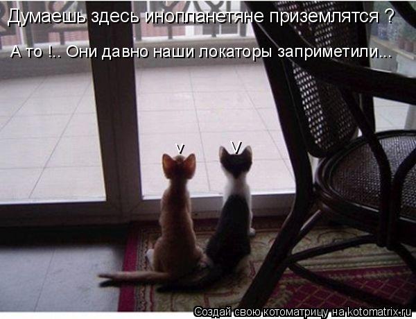 Думаешь здесь инопланетяне приземлятся ? А то !.. Они давно наши локаторы заприметили... v V... Котоматрица: Думаешь здесь инопланетяне приземлятся ? А то !.. Они давно наши локаторы заприметили... v V