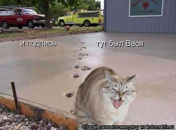 и подпись тут был Вася... Котоматрица: и подпись тут был Вася