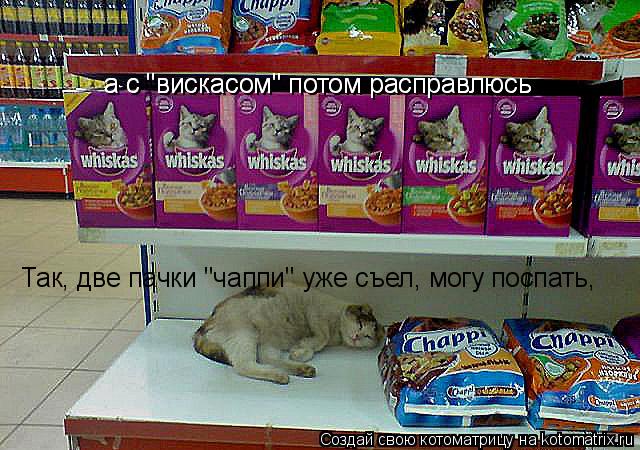 Так, две пачки "чаппи" уже съел, могу поспать, а с "вискасом" потом расправлюсь а с "вискасом" потом ... Котоматрица: Так, две пачки "чаппи" уже съел, могу поспать, а с "вискасом" потом расправлюсь а с "вискасом" потом расправлюсь