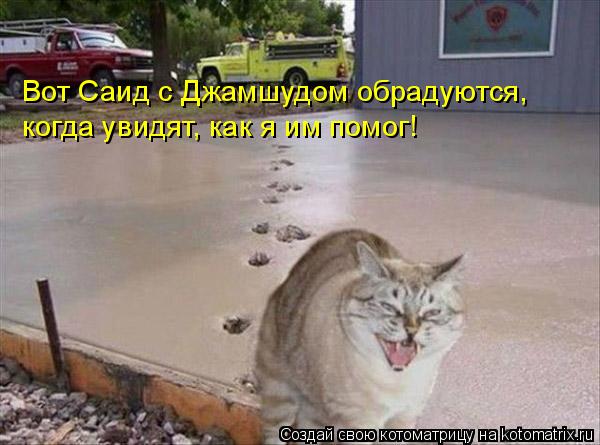 когда увидят, как я им помог! Вот Саид с Джамшудом обрадуются,... Котоматрица: когда увидят, как я им помог! Вот Саид с Джамшудом обрадуются,