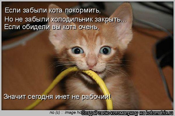 Если забыли кота покормить, Если обидели вы кота очень, Но не забыли холодильник закрыть... Значит се... Котоматрица: Если забыли кота покормить, Если обидели вы кота очень, Но не забыли холодильник закрыть... Значит сегодня инет не рабочий!