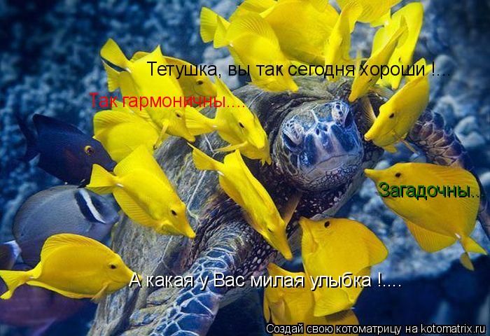 Тетушка, вы так сегодня хороши !... Так гармоничны.... Загадочны... А какая у Вас милая улыбка !....... Котоматрица: Тетушка, вы так сегодня хороши !... Так гармоничны.... Загадочны... А какая у Вас милая улыбка !....