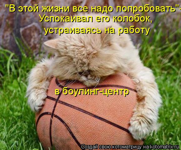 "В этой жизни все надо попробовать"- Успокаивал его колобок, устраиваясь на работу в боулинг-центр... Котоматрица: "В этой жизни все надо попробовать"- Успокаивал его колобок, устраиваясь на работу в боулинг-центр