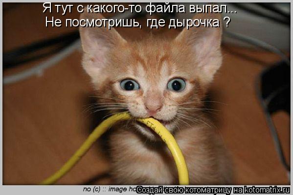 Я тут с какого-то файла выпал... Не посмотришь, где дырочка ?... Котоматрица: Я тут с какого-то файла выпал... Не посмотришь, где дырочка ?