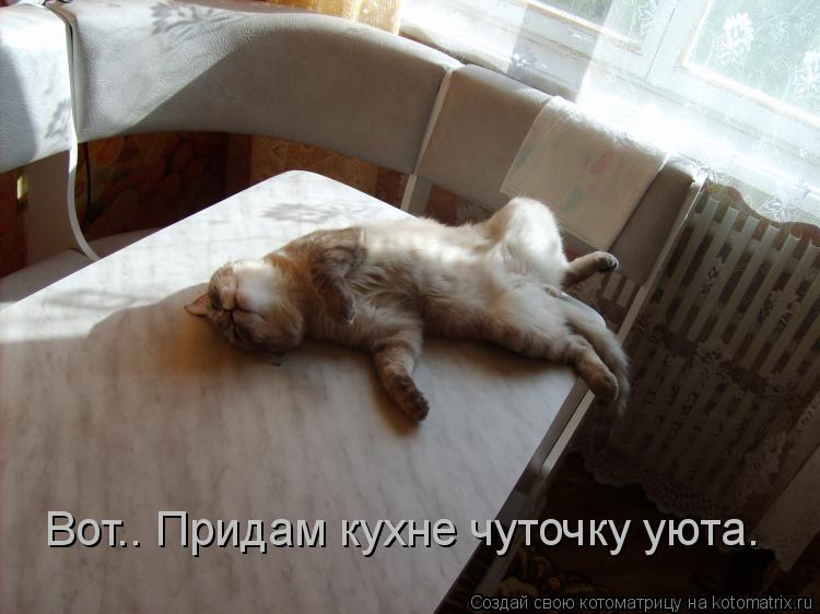 Котоматрица: Вот.. Придам кухне чуточку уюта.