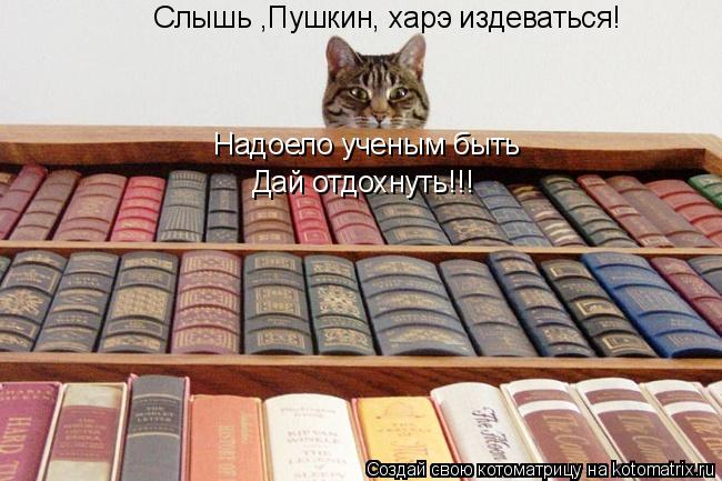 Слышь ,Пушкин, харэ издеваться! Надоело ученым быть Дай отдохнуть!!!... Котоматрица: Слышь ,Пушкин, харэ издеваться! Надоело ученым быть Дай отдохнуть!!!