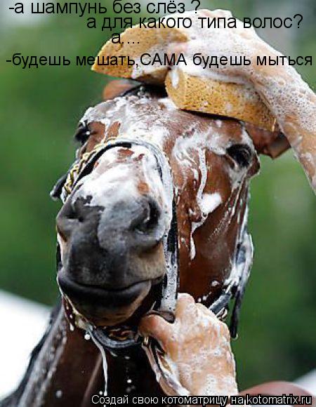 -а шампунь без слёз ? а для какого типа волос? а.... -будешь мешать,САМА будешь мыться... Котоматрица: -а шампунь без слёз ? а для какого типа волос? а.... -будешь мешать,САМА будешь мыться