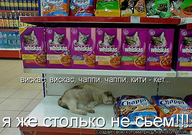 вискас, вискас, чаппи, чаппи, кити - кет... я же столько не сьем!!!... Котоматрица: вискас, вискас, чаппи, чаппи, кити - кет... я же столько не сьем!!!