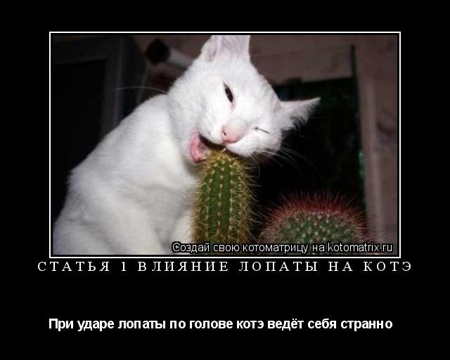 Статья 1 Влияние лопаты на котэ При ударе лопаты по голове котэ ведёт себя странно ... Котоматрица: Статья 1 Влияние лопаты на котэ При ударе лопаты по голове котэ ведёт себя странно