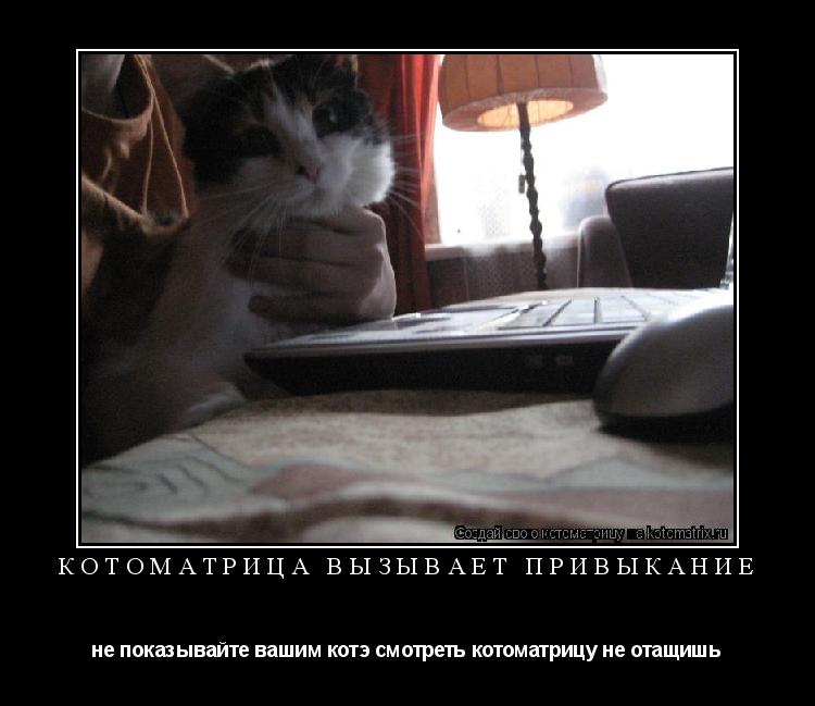 Котоматрица вызывает привыкание не показывайте вашим котэ смотреть котоматрицу не отащишь... Котоматрица: Котоматрица вызывает привыкание не показывайте вашим котэ смотреть котоматрицу не отащишь
