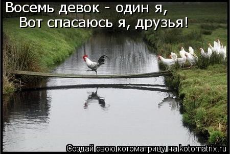 Восемь девок - один я, Вот спасаюсь я, друзья!... Котоматрица: Восемь девок - один я, Вот спасаюсь я, друзья!