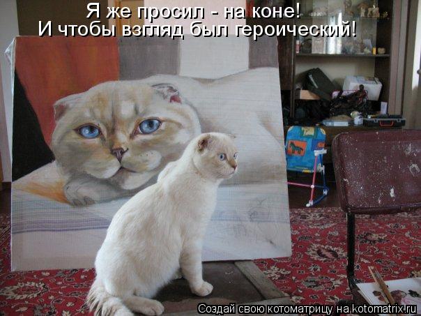 Я же просил - на коне! И чтобы взгляд был героический!... Котоматрица: Я же просил - на коне! И чтобы взгляд был героический!