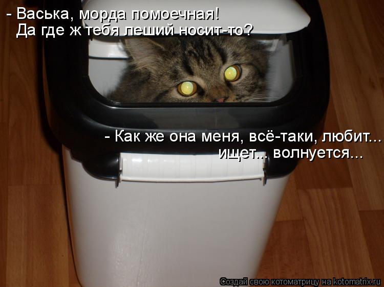 - Васька, морда помоечная!  Да где ж тебя леший носит-то? - Как же она меня, всё-таки, любит... ищет... волнуется...