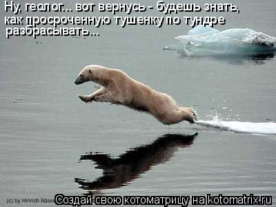 Ну, геолог... вот вернусь - будешь знать, как просроченную тушенку по тундре разбрасывать...... Котоматрица: Ну, геолог... вот вернусь - будешь знать, как просроченную тушенку по тундре разбрасывать...