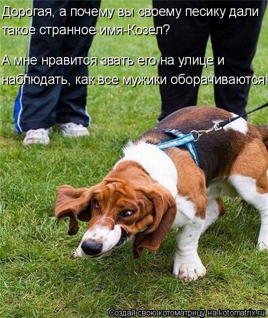 такое странное имя-Козел? А мне нравится звать его на улице и Дорогая, а почему вы своему песику дал... Котоматрица: такое странное имя-Козел? А мне нравится звать его на улице и Дорогая, а почему вы своему песику дали наблюдать, как все мужики оборачивают
