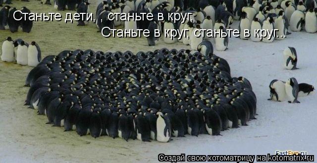 Станьте дети, , станьте в круг, Станьте в круг, станьте в круг...... Котоматрица: Станьте дети, , станьте в круг, Станьте в круг, станьте в круг...