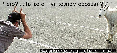 Чего? ...Ты кого тут козлом обозвал?... Котоматрица: Чего? ...Ты кого тут козлом обозвал?