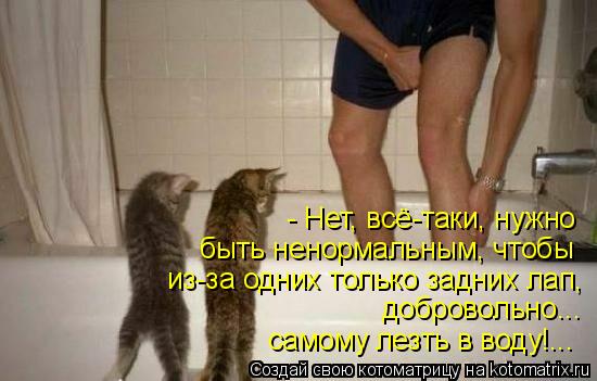 - Нет, всё-таки, нужно быть ненормальным, чтобы из-за одних только задних лап, добровольно... самому ... Котоматрица: - Нет, всё-таки, нужно быть ненормальным, чтобы из-за одних только задних лап, добровольно... самому лезть в воду!...